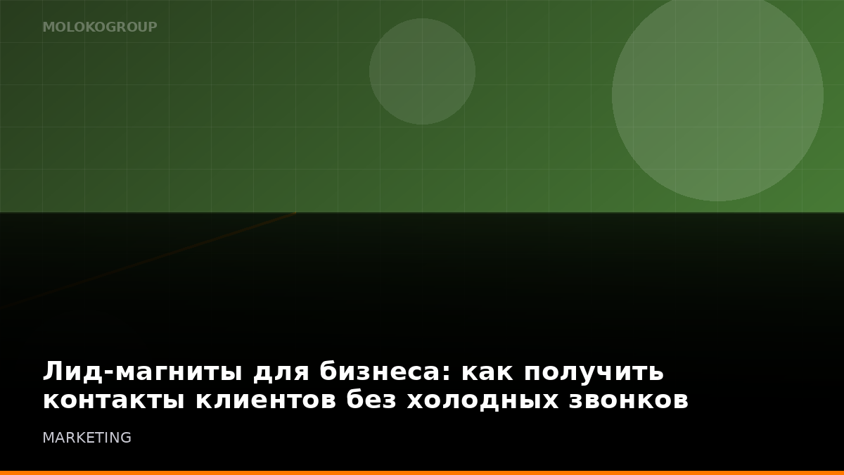 Лид-магниты для бизнеса: как получить контакты клиентов без холодных звонков