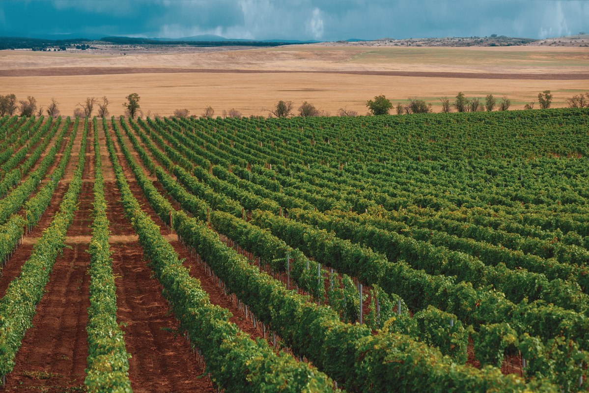 Винодельня Alma Valley