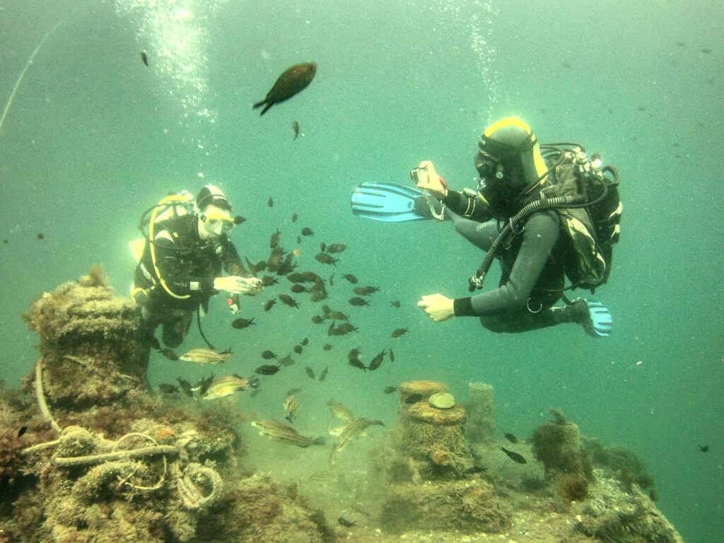 Дайв-центр Diving82