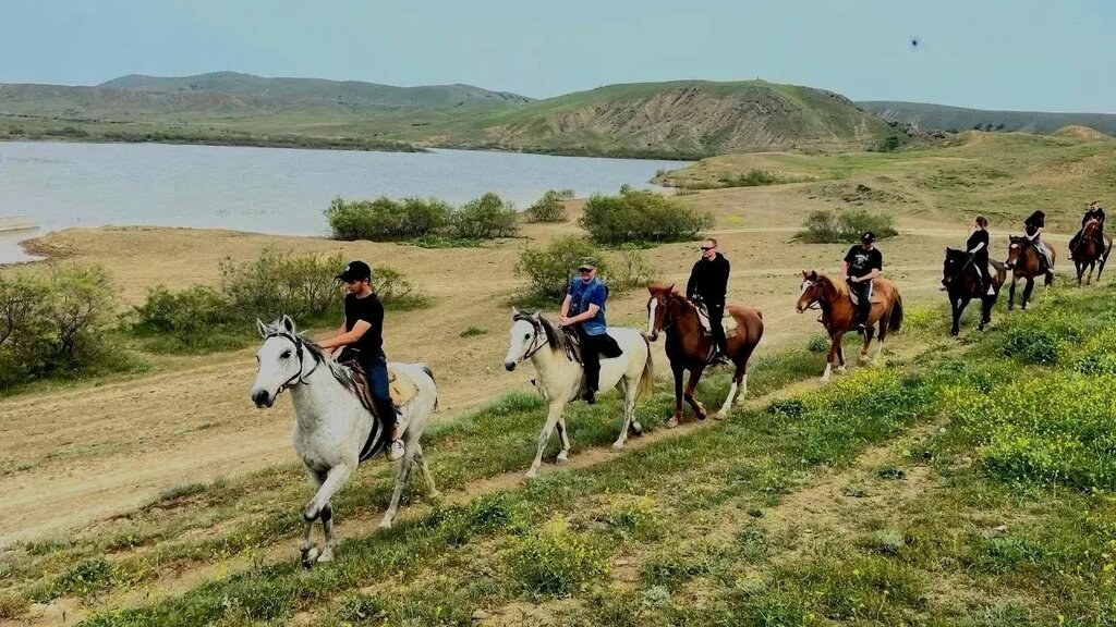Конюшня «Меганом»